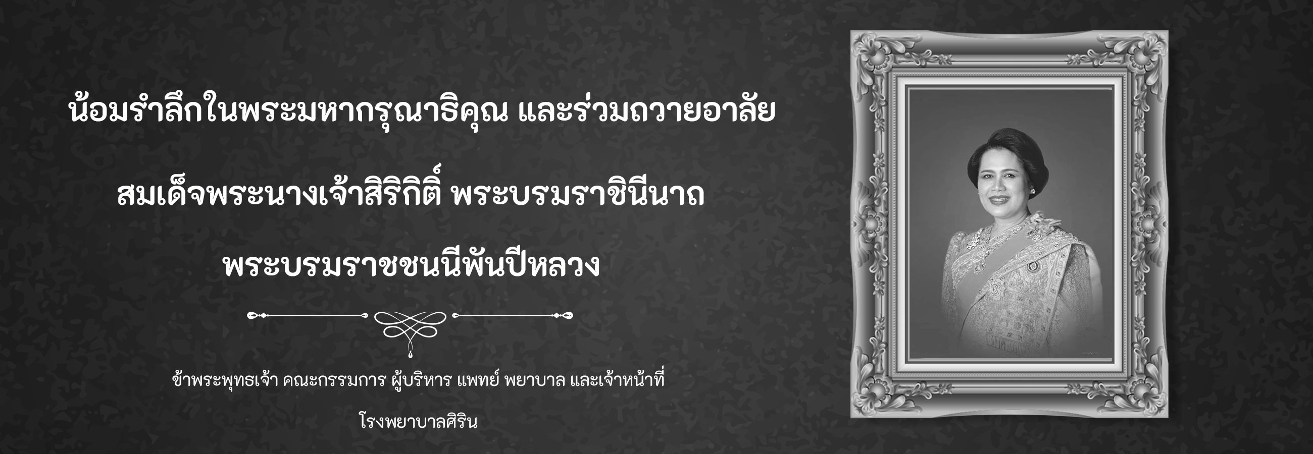 ดูแลผู้สูงอายุ